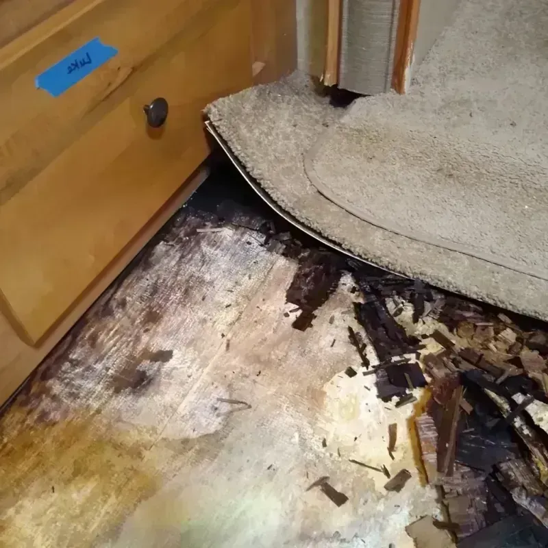 Wood Floor Water Damage in Eldersburg, MD